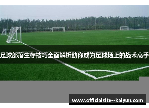 足球部落生存技巧全面解析助你成为足球场上的战术高手
