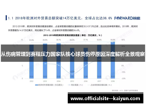 从伤病管理到赛程压力国家队核心球员伤停原因深度解析全景观察